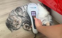 Lasertherapie